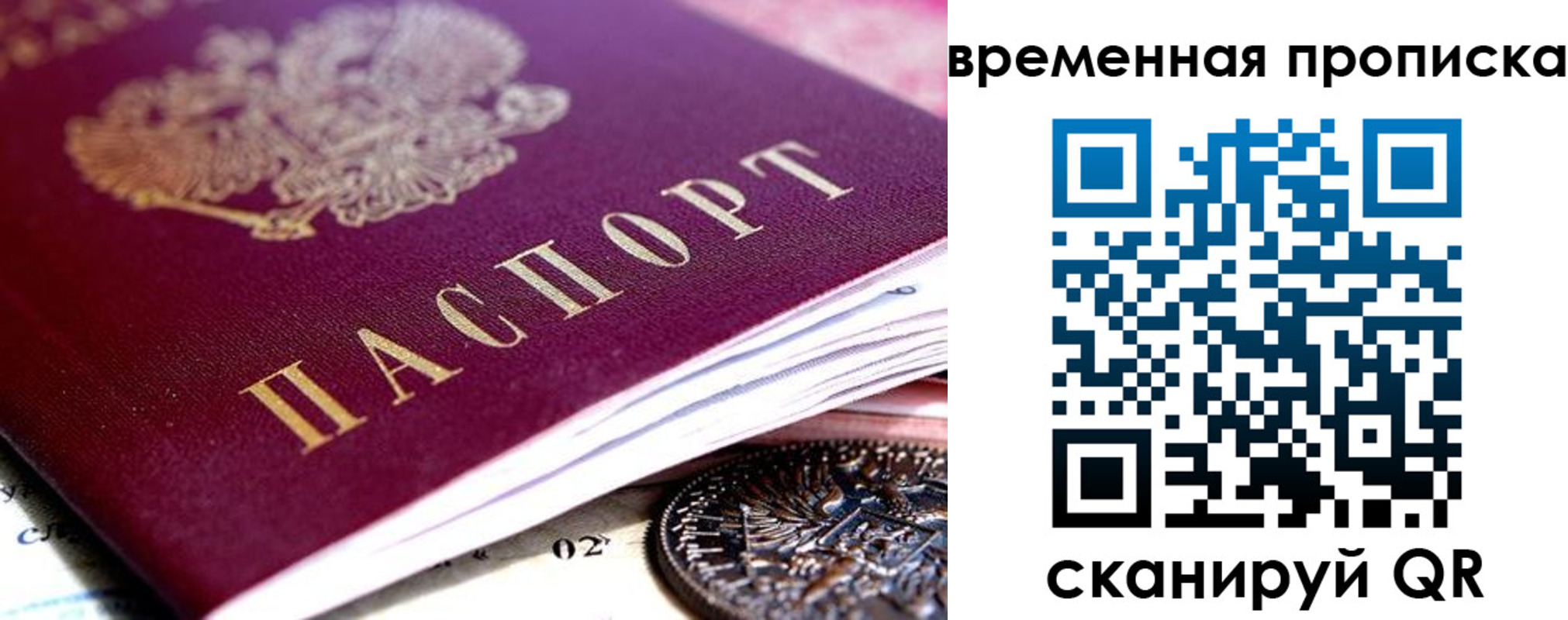 временная прописка в Оленегорске